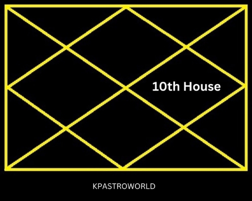The 10th House (Karma Bhaav)